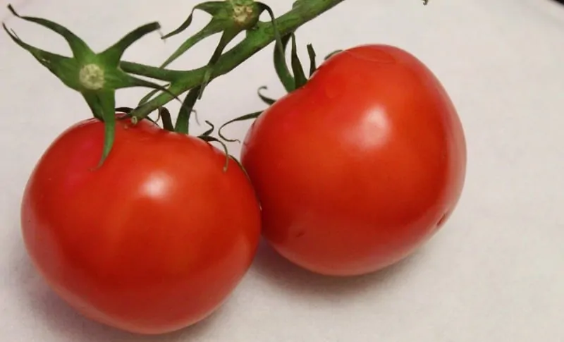 is tomato fruit or vegetable