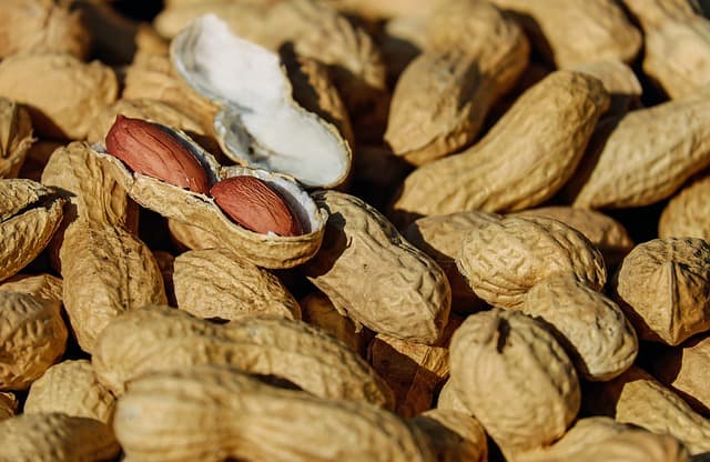 Difference Between Peanut and Tree Nut