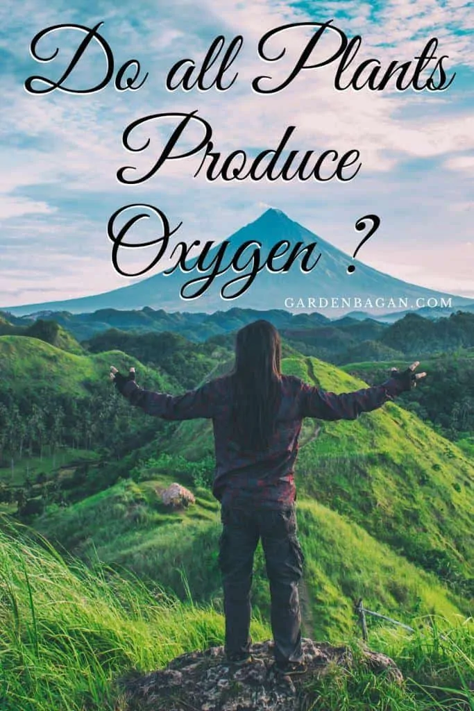 Do all Plants Produce Oxygen