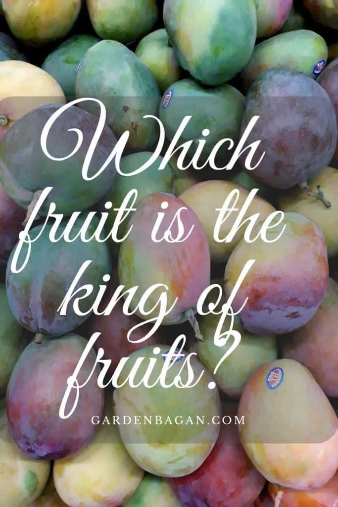 which fruit is the king of fruits