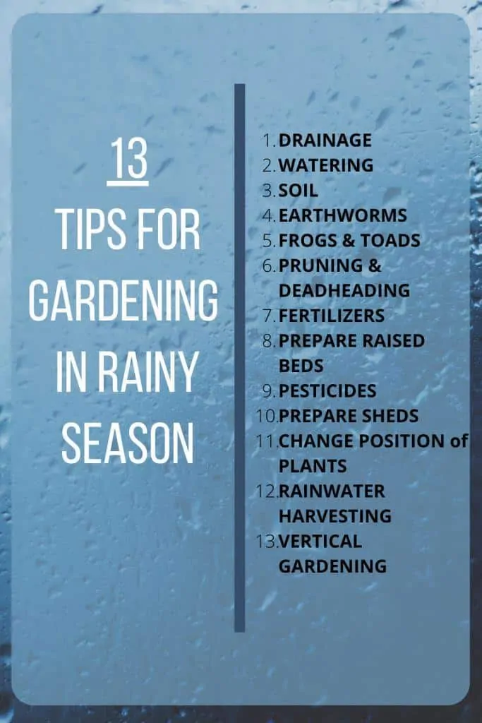 13-Tips for Gardening in Rainy Season