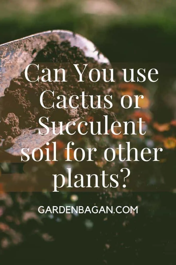 Can You use Cactus-Succulent soil for other plants