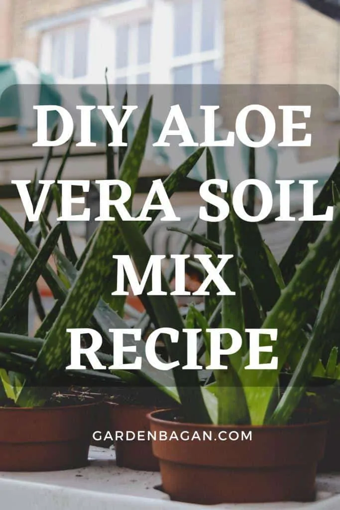DIY Aloe Vera Soil Mix recipe