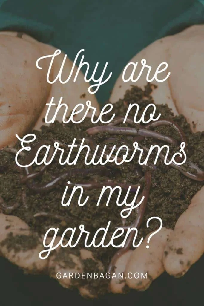 Why are there no earthworms in my garden