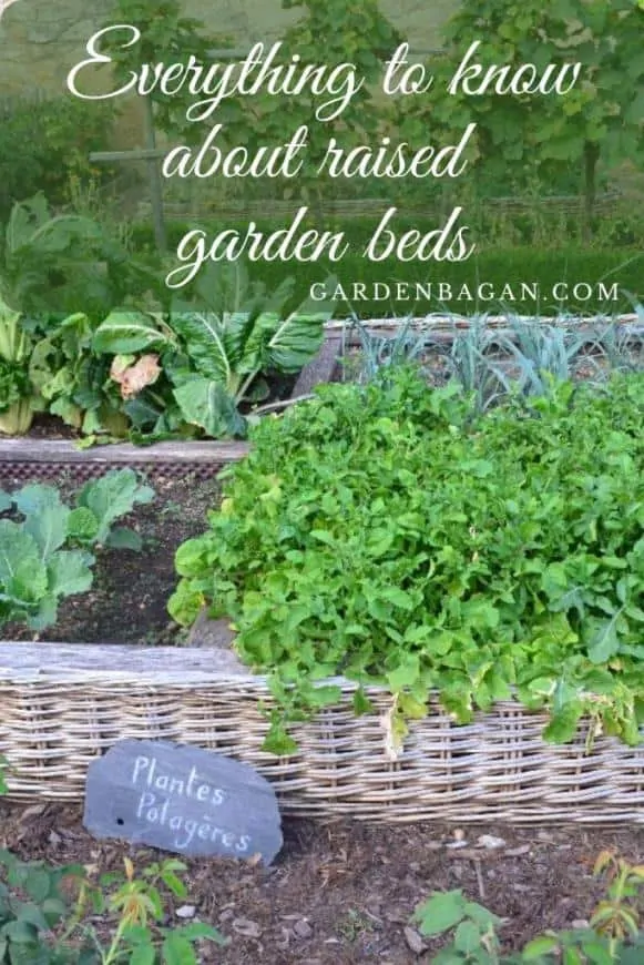 Everything to know about raised garden beds