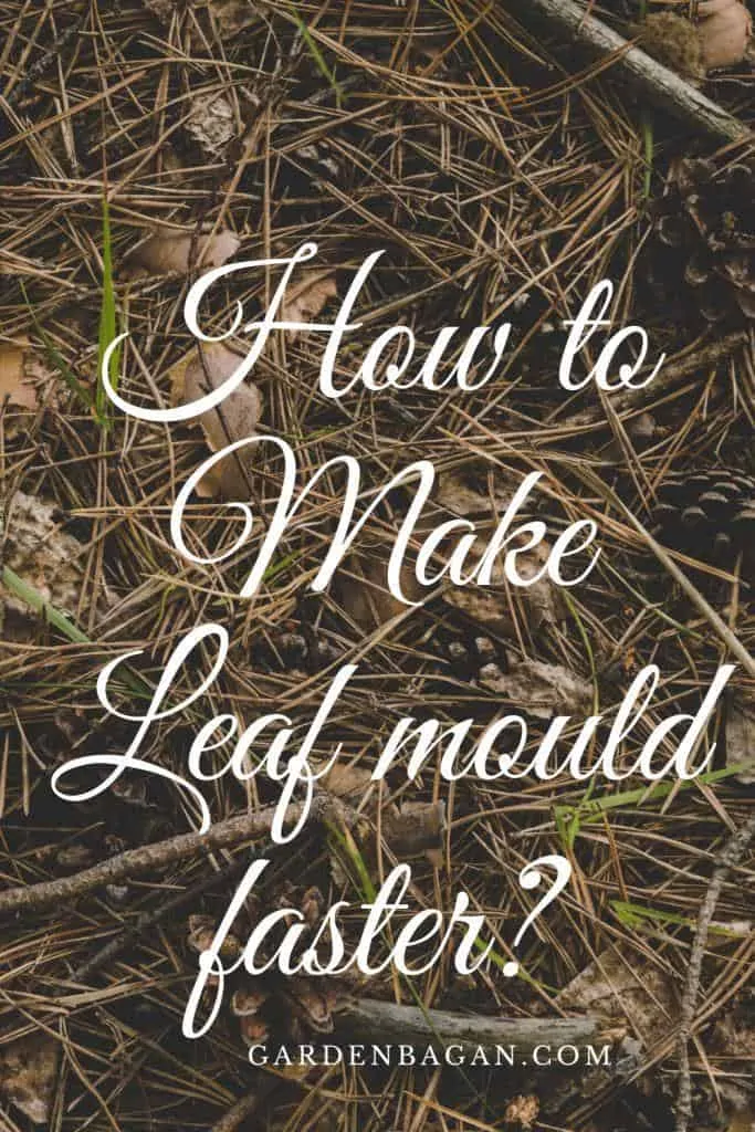 How to Make Leaf mould faster