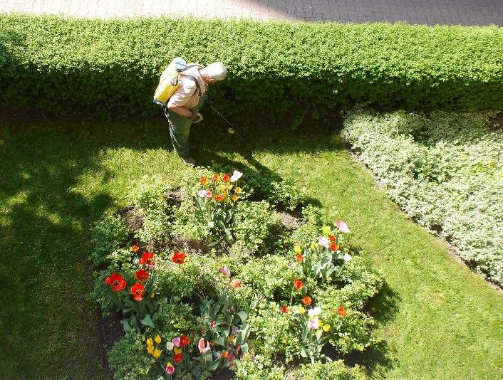 why gardeners fail-control-common-pests