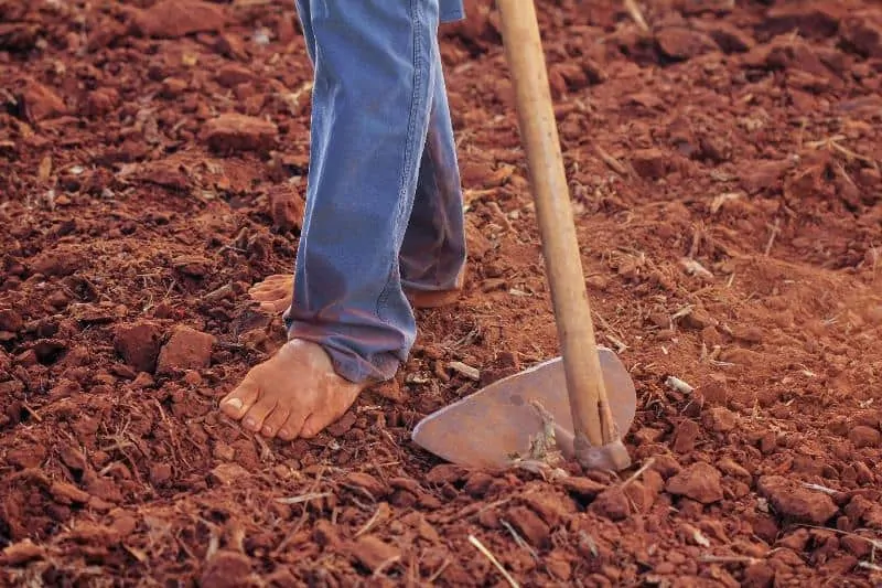 why gardeners fail-improper soil managements