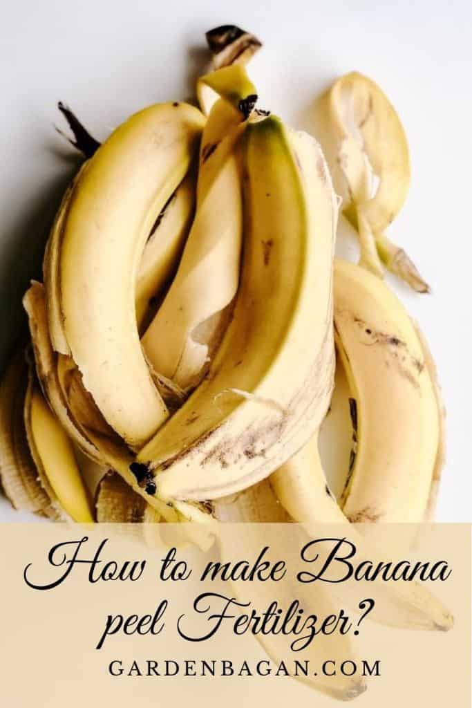 How to make Banana peel Fertilizer
