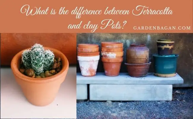What is difference between Terracotta and clay Pots