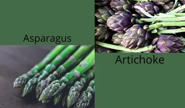 vegetables name start with A to Z