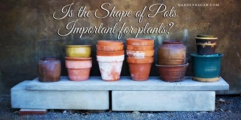 Is the Shape of Pots Important for plants