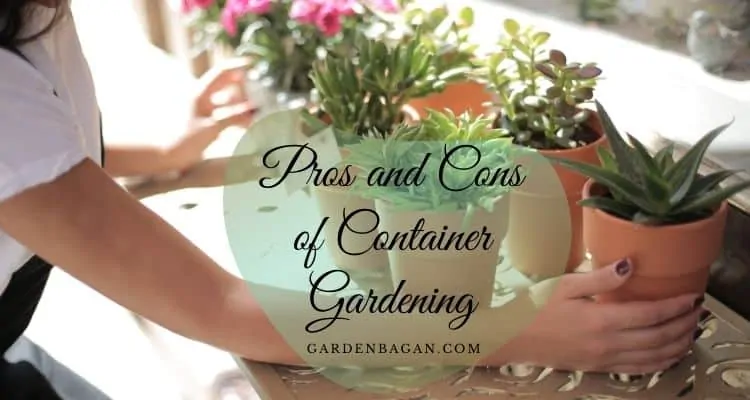 Pros and Cons of Container Gardening