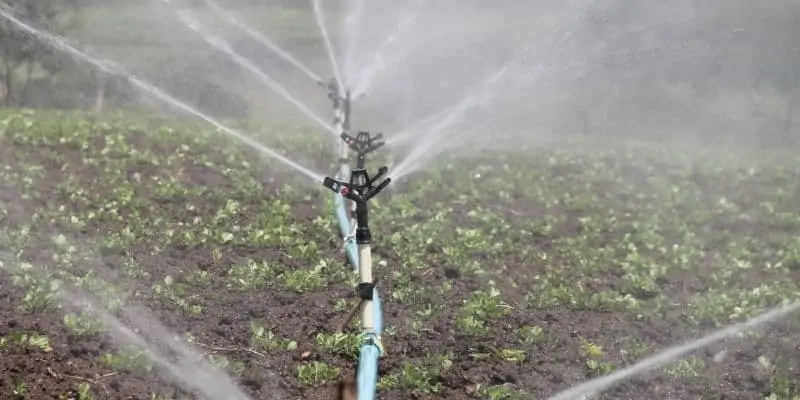 over-irrigation and systematic-irrigation