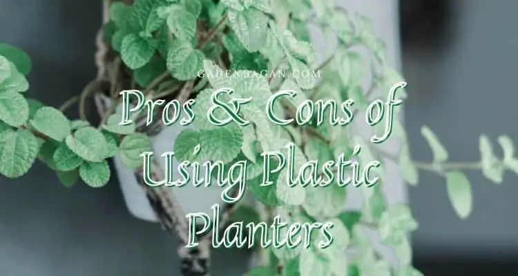 Pros & Cons of Using Plastic Planters