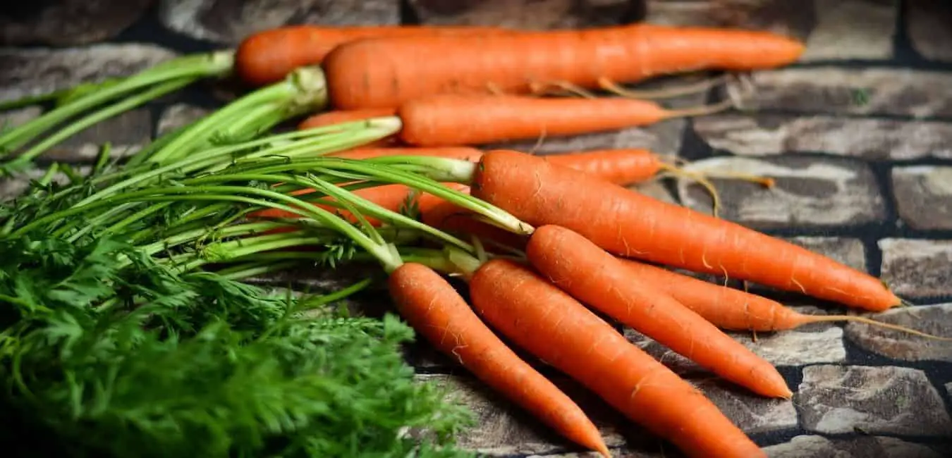 Where Do Carrot Seeds Come From?