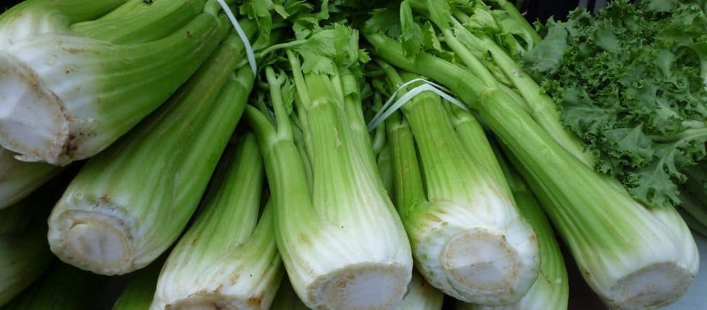 Grow Celery in Containers