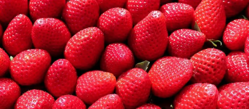 How many seeds does a Strawberry Contain?