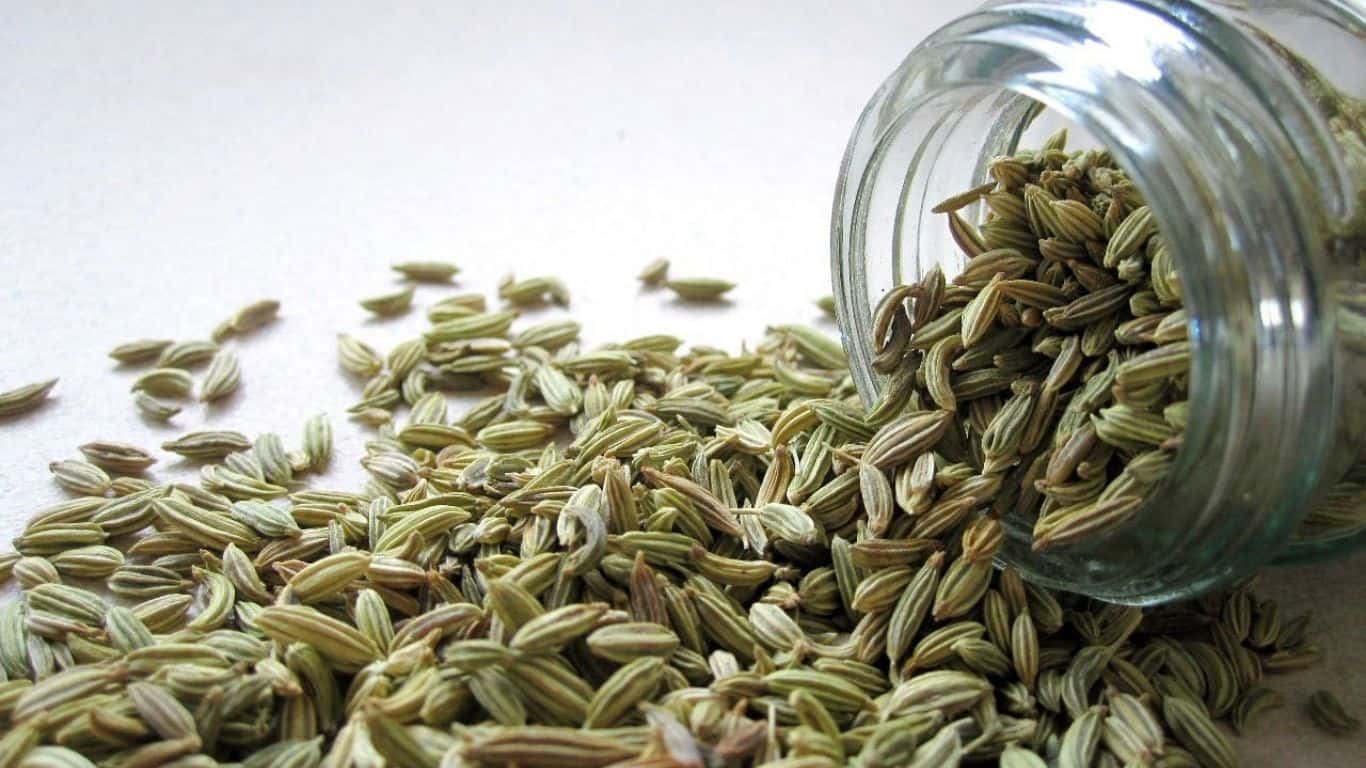Difference Between Fennel seeds and Cumin Seeds