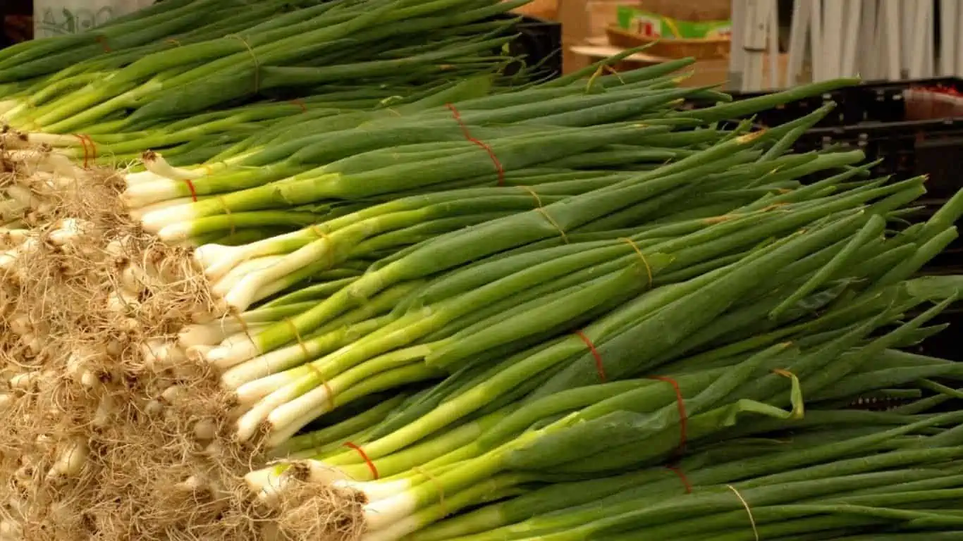 green onions-Vegetables to Grow Indoors